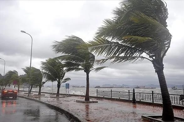 Algérie : Avis de tempête sur le pays, la majorité des écoles fermées pendant deux jours