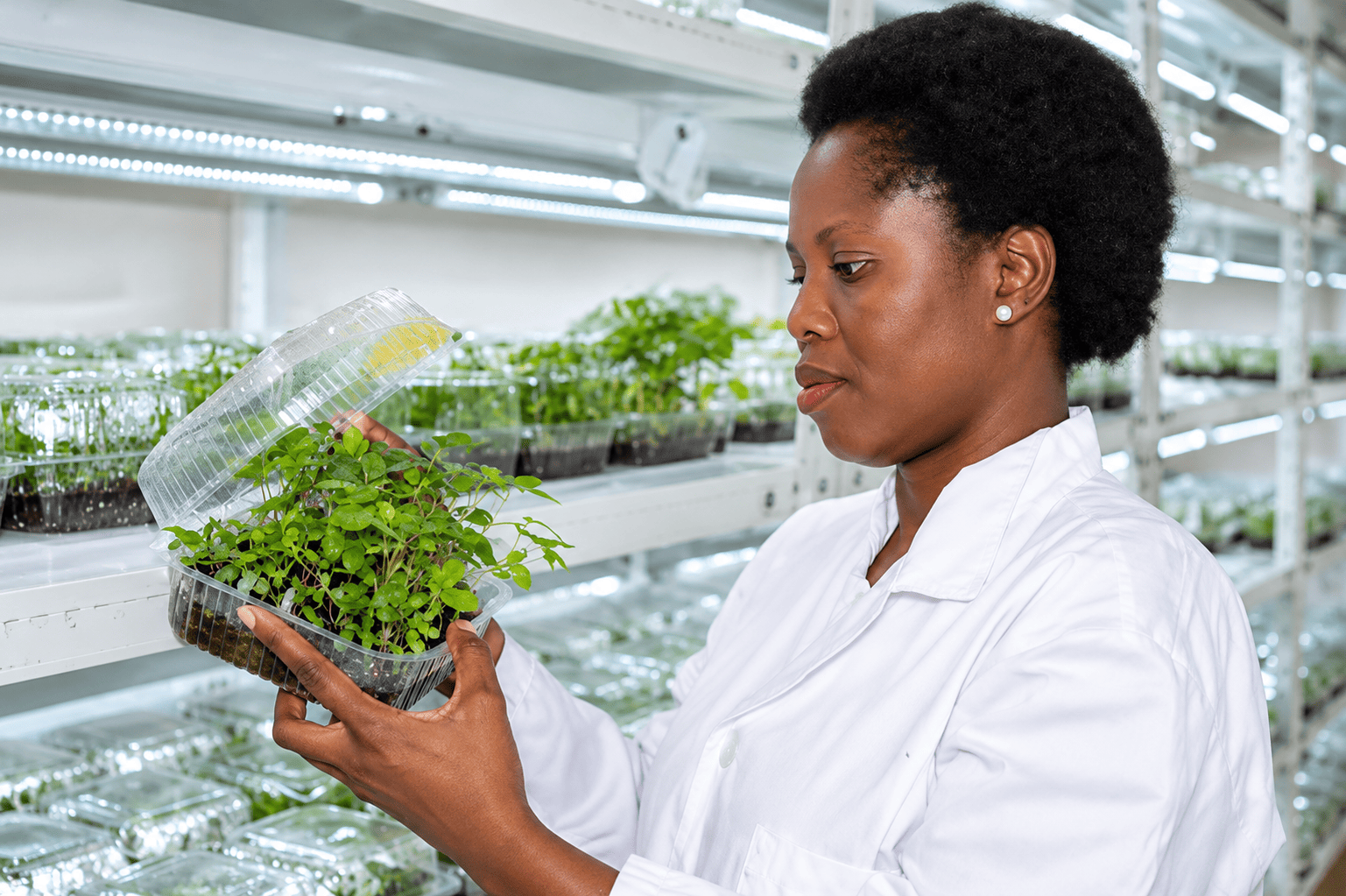 Rwanda : quatre entreprises agroalimentaires sélectionnées pour un cofinancement pouvant atteindre 350 000 euros chacune